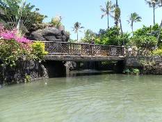 03_Hawaii_2 211.jpg (73906 bytes)